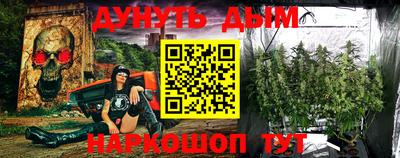 гашик Гусь-Хрустальный