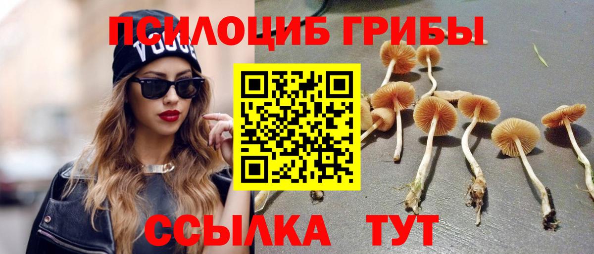 Медногорск  Псилоцибиновые грибы Magic Shrooms  Вход с VPN 